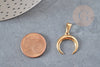 Golden steel crescent moon pendant, golden charm, surgical steel, gold steel, nickel-free pendant, 19mm, X1, G4840