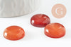 Cabochon rond cornaline naturelle orange 20mm, cabochon création bijoux pierre naturelle, X1 VALIDE