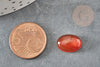 Cabochon cornaline orange, cabochon ovale, cornaline naturelle, cabochon pierre,10x14mm, X1 G4483