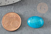 Cabochon jade turquoise foncé, cabochon ovale, jade naturel,18 x13mm, cabochon pierre, pierre naturelle, X1 G2025