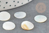 Cabochon plat rond nacre blanche naturelle 12mm, cabochon coquillage nacre naturelle, X1 G8540