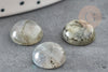 Cabochon rond labradorite, cabochon rond, labradorite naturelle,10mm, pierre naturelle, X1 G5021