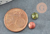 Cabochon unakite, cabochon rond,unakite naturelle, cabochon turquoise, cabochon 6mm,pierre naturelle,6mm, X1 G1133