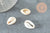 Coquillages cauris ouverts 15mm, coquillages naturels,création bijoux plage,vacances, x10 ou x50 (G2033)