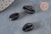 Pendentif coquillage cauris noirs,coquillage naturel,cauri noir,création bijoux,coquillage bijou,coquillage,15mm,les 5-G370