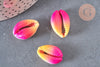 Pendentif coquillage cauris rose jaune,coquillage naturel,cauri rose,création bijoux,coquillage bijou,coquillage,20mm,les 5-G367