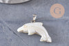 Pendentif dauphin nacre blanche naturelle laiton platine 27-29mm, création bijoux coquillage blanc, x1 (G9916)