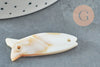 Perle poisson nacre blanche naturelle,perle nacre poisson,nacre naturelle coquillage blanc, 42mm, x2 G1055