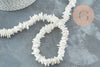 Perles coquillage naturel chips blanc, des perles en coquillage blanc ,6~12mm, le fil de 41 cm, x1 G3867