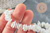 Perles coquillage naturel chips blanc, des perles en coquillage blanc ,6~12mm, le fil de 41 cm, x1 G3867