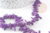 Perles en corail violet,perles corail, corail naturel,perle coquillage,coquillage violet, fil 38cm, x1 G0980